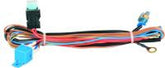 Hella Wiring Harness Kit 3.1M PKRD2 12V with Fuse & Relay