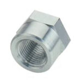 Fragola 1/4 FPT Weld Bung