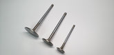 Ferrea Audi 1.8T 20V/2.7T 30V 27.9mm 5.97mm +1mm Comp Plus Int Valve - Single (Drop Ship Only)