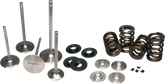 Ferrea Acura/Honda B18/B16 Endurance Dual Spring Kit