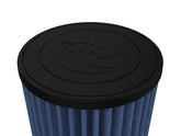 aFe MagnumFLOW Air Filters OER P5R A/F P5R Chevrolet Trailblazer/GMC Envoy 02-09
