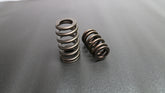 Ferrea Acura/Honda K20 Single Beehive Ovate PAC Alloy Nitrided Valve Spring - Set of 16