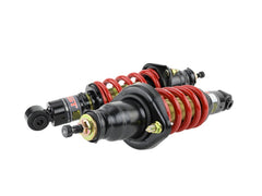 Skunk2 01-05 Honda Civic / 01-05 Acura Integra Pro-ST Coilovers (Front 10 kg/mm - Rear 10 kg/mm)