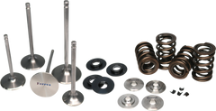 Ferrea 09-13 VW 2.0T TSI / 15-16 VW Golf R 2.0T TSI Single Spring Kit