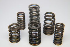 Ferrea 1.225in to 1.570in Dia 1.025/1.55 OD 0.74/1.135 ID Dual w/Damper Valve Spring - Set of 16